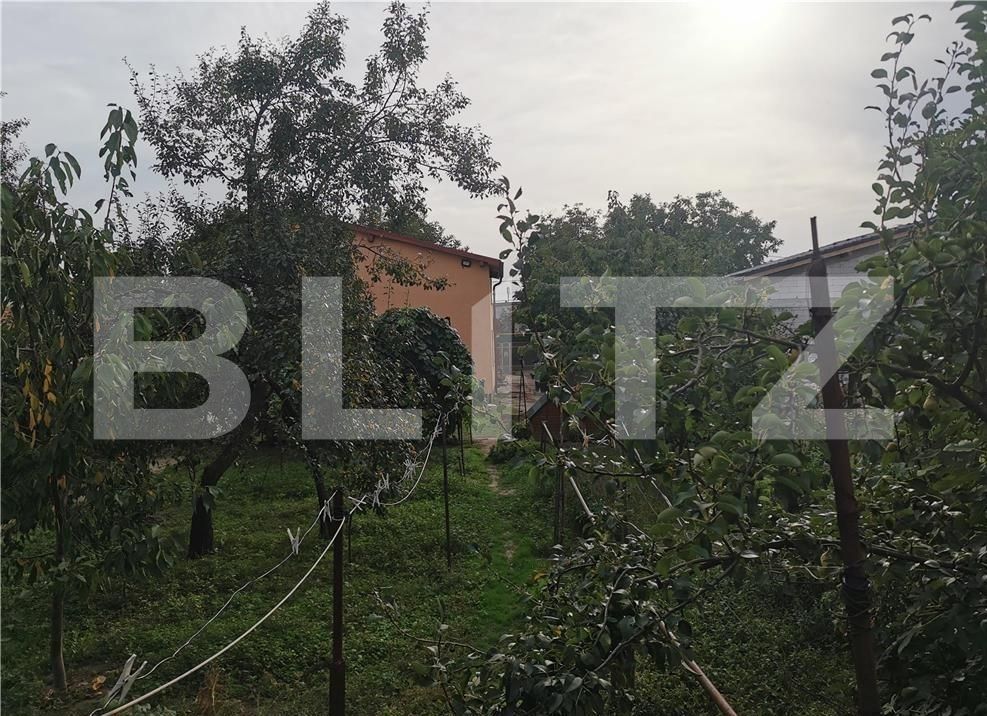 Casa de vânzare 5 camere Freidorf - 102295CV | BLITZ Timișoara | Poza3