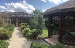 Casa 3 camere, 120 mp, Topolovatu Maru