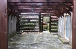 Casa 3 camere, 120 mp, Topolovatu Maru