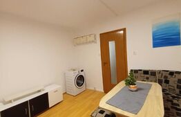 Garsoniera semidecomandata, 22 mp, Buziasului