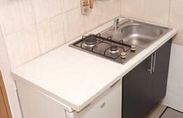 Garsoniera semidecomandata, 22 mp, Buziasului