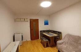 Garsoniera semidecomandata, 22 mp, Buziasului