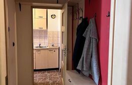 Apartament 2 camere, 53 mp, decomandat, Sagului