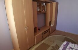 Garsoniera de 27 mp, decomandat, Blascovici