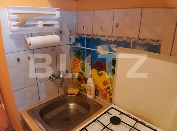 Garsonieră de vânzare Blascovici - 102333AV | BLITZ Timișoara | Poza3
