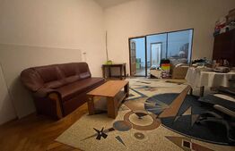 Apartament cu boxa, 220 mp vila istorica, Parcul Poporului