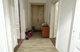 Apartament cu boxa, 220 mp vila istorica, Parcul Poporului