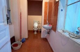 Apartament cu boxa, 220 mp vila istorica, Parcul Poporului