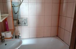 Apartament cu 1 camera, 26 mp, decomandat, Fratelia