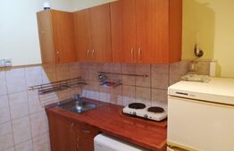 Garsoniera, 20 mp, Calea Lipovei 