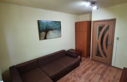 Garsoniera, 20 mp, Calea Lipovei 