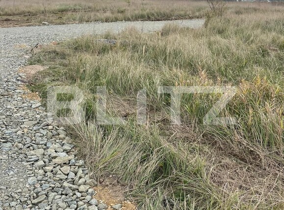 Teren de vânzare Urseni - 102424TV | BLITZ Timișoara | Poza1