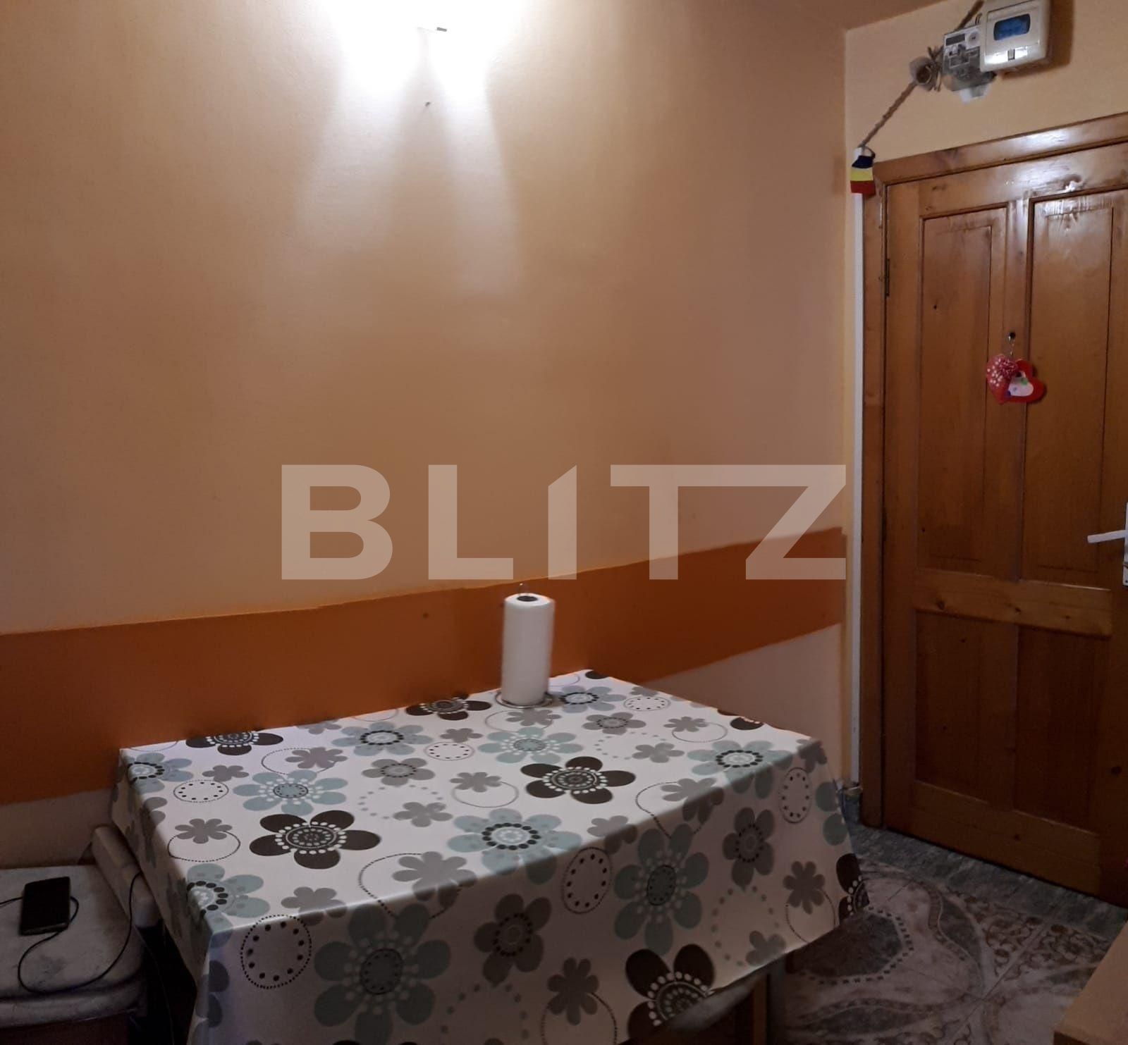Apartament de vânzare 2 camere Sagului - 102565AV | BLITZ Timișoara | Poza5