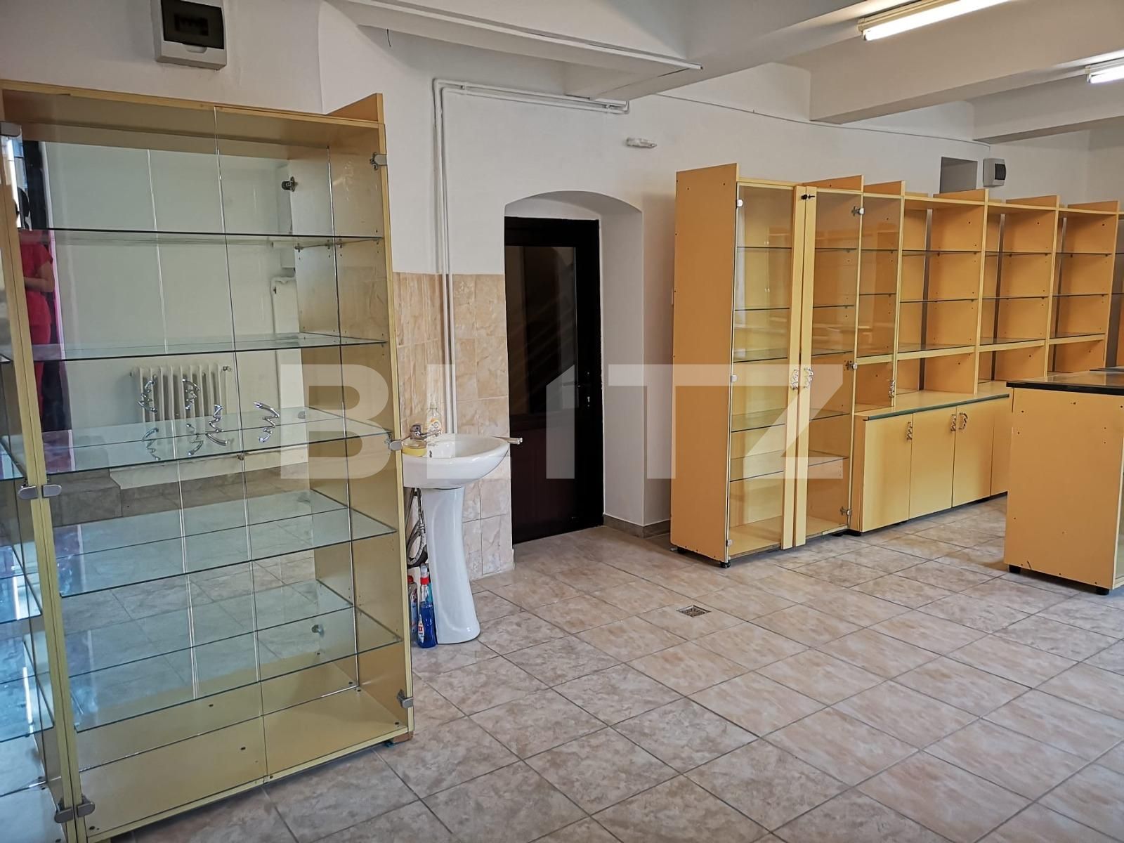 Spațiu comercial de închiriat Central - 102574SIC | BLITZ Timișoara | Poza2
