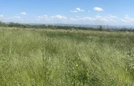 Teren de 10.000 mp, spre Săcălaz lângă fosta fabrică de țigări