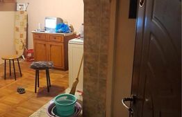 Garsoniera 35 mp, la casa, Steaua