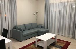 Apartament 2 camere, 50 mp, parter, semidecomandat, Take Ionescu 