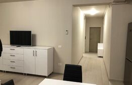 Apartament 2 camere, 50 mp, parter, semidecomandat, Take Ionescu 