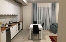 Apartament 2 camere, 50 mp, parter, semidecomandat, Take Ionescu 