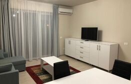 Apartament 2 camere, 50 mp, parter, semidecomandat, Take Ionescu 