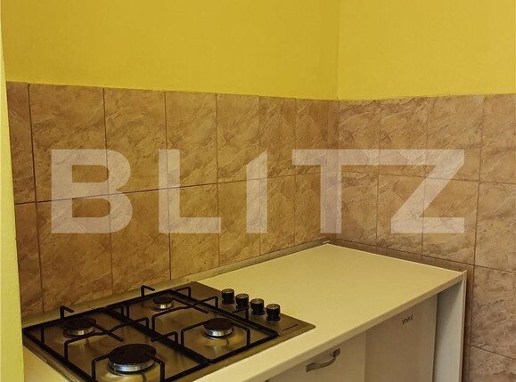 Garsonieră de închiriat Dambovita - 102662AI | BLITZ Timișoara | Poza3