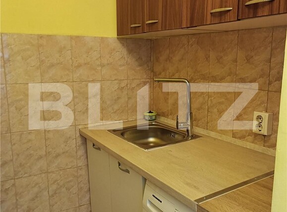 Garsonieră de închiriat Dambovita - 102662AI | BLITZ Timișoara | Poza2