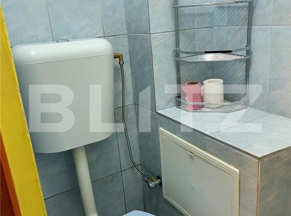 Garsonieră de închiriat Dambovita - 102662AI | BLITZ Timișoara | Poza6
