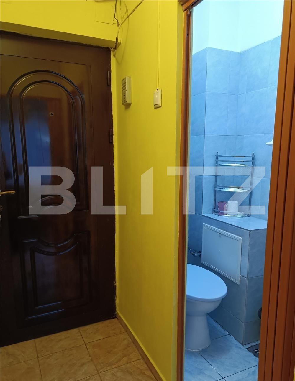 Garsonieră de închiriat Dambovita - 102662AI | BLITZ Timișoara | Poza5