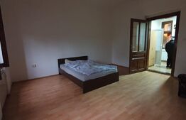 Apartament de 2 camere, 40 mp, semidecomandat, zona Mehala
