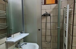 Apartament de 2 camere, 40 mp, semidecomandat, zona Mehala