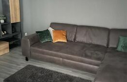 Cladire cu destinatii multiple, 9 camere, Zona Sagului