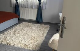 Cladire cu destinatii multiple, 9 camere, Zona Sagului