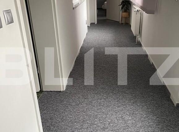 Spațiu comercial de închiriat Sagului - 102736SIC | BLITZ Timișoara | Poza10