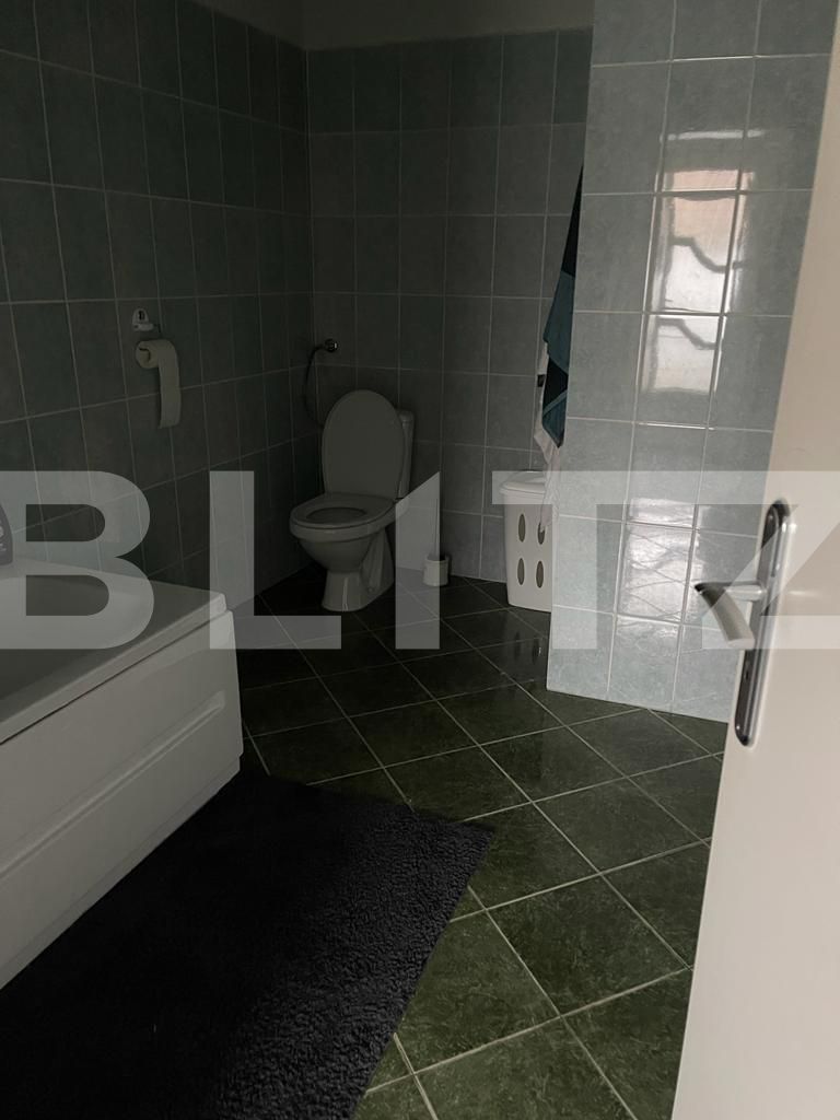 Spațiu comercial de închiriat Sagului - 102736SIC | BLITZ Timișoara | Poza8