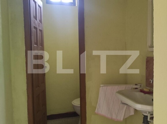 Spațiu industrial de închiriat Crisan - 102740SII | BLITZ Timișoara | Poza3