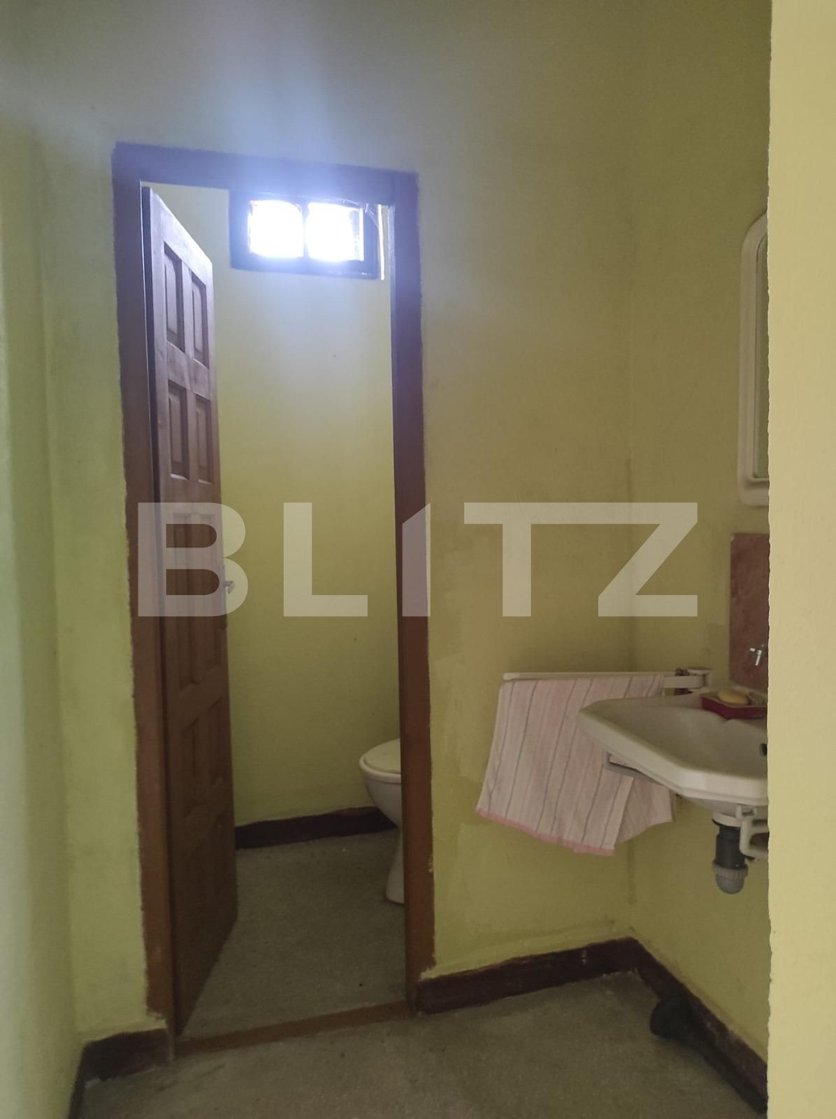 Spațiu industrial de închiriat Crisan - 102740SII | BLITZ Timișoara | Poza3