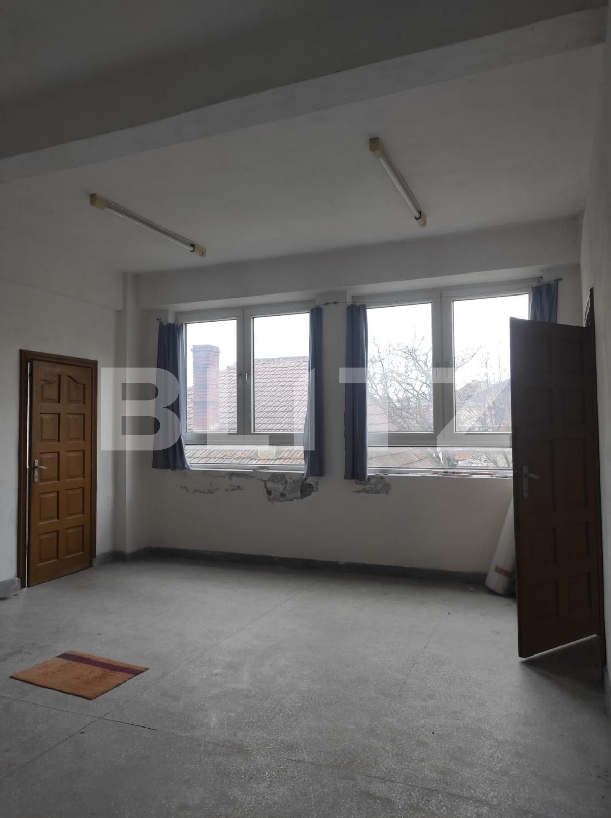 Spațiu industrial de închiriat Crisan - 102740SII | BLITZ Timișoara | Poza5