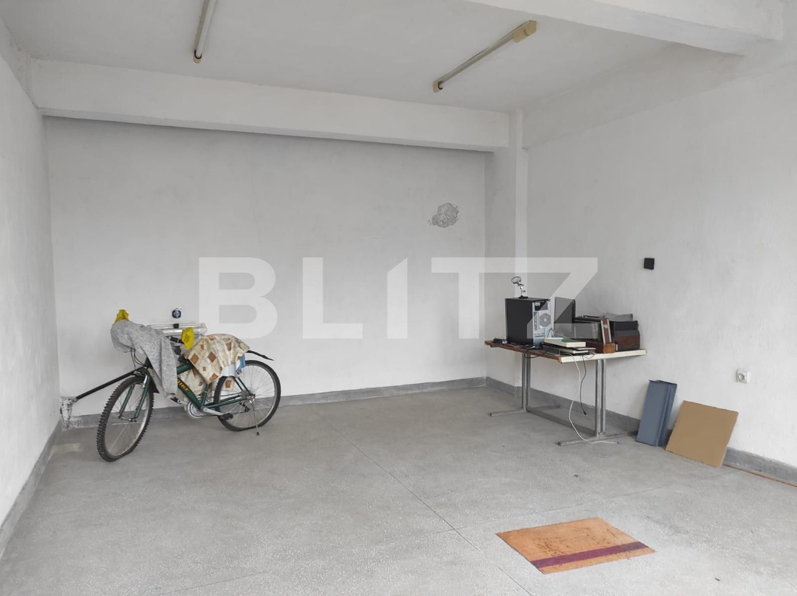 Spațiu industrial de închiriat Crisan - 102740SII | BLITZ Timișoara | Poza6