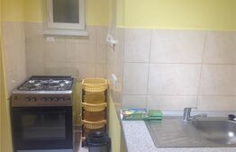 Garsoniera la casa, 30 mp, decomandat, Ronat