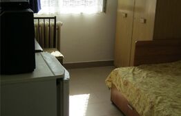 Apartament cu o camera, 12 mp, etaj intermediar, Dacia