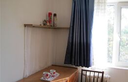 Apartament cu o camera, 12 mp, etaj intermediar, Dacia