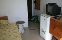 Apartament cu o camera, 12 mp, etaj intermediar, Dacia