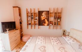 Ocazie! Apartament in Dumbravita decomandat plus curte 100mp