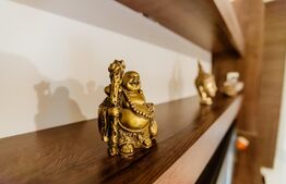 Ocazie! Apartament in Dumbravita decomandat plus curte 100mp