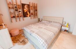 Ocazie! Apartament in Dumbravita decomandat plus curte 100mp