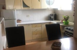 Casa individuala , compusa din 3 apartamente , in Dumbravita