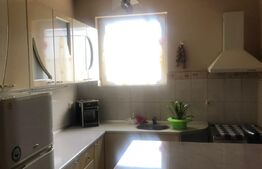 Casa individuala , compusa din 3 apartamente , in Dumbravita