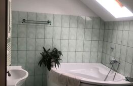 Casa individuala , compusa din 3 apartamente , in Dumbravita