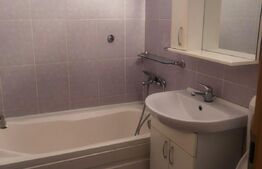 Casa individuala , compusa din 3 apartamente , in Dumbravita