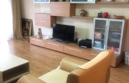 Casa individuala , compusa din 3 apartamente , in Dumbravita